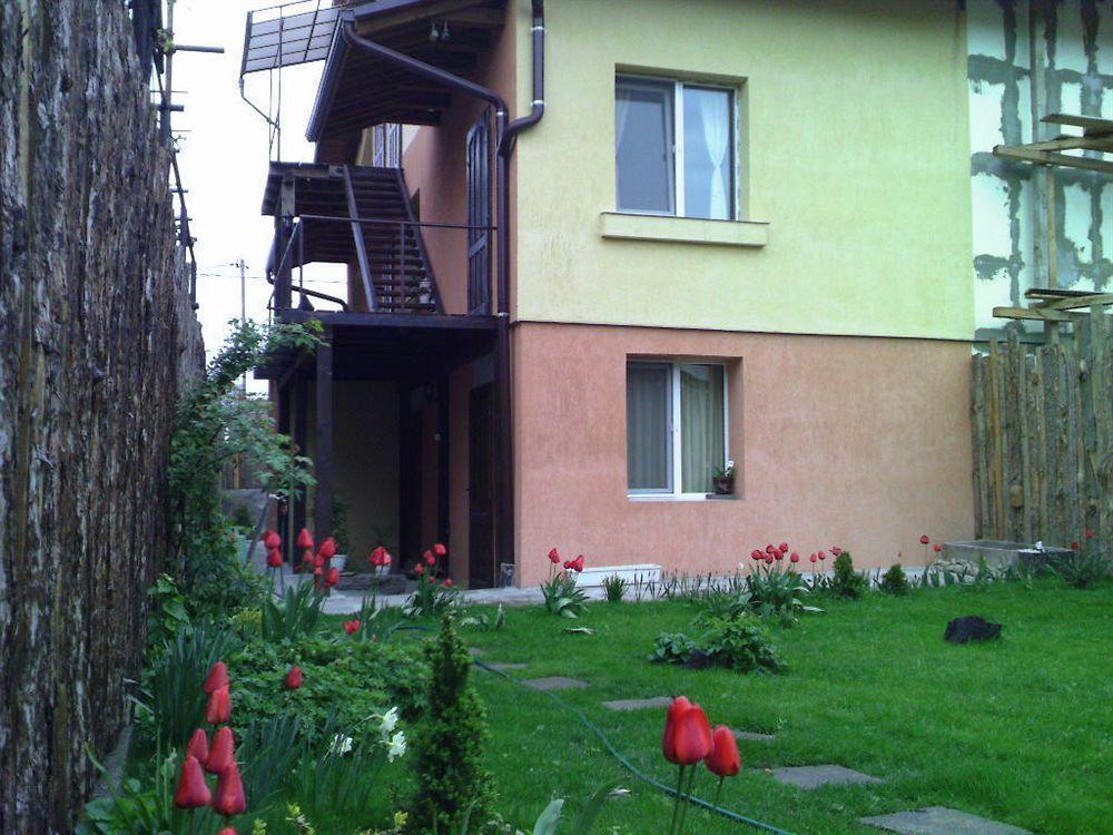 Avel * Sofia